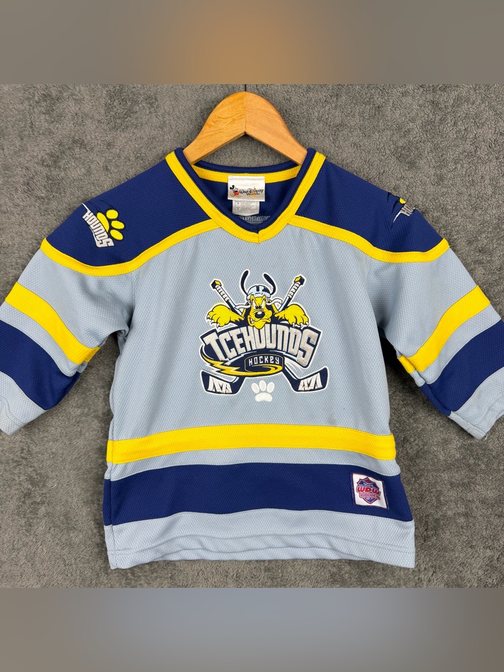 Disney World IceHounds Pluto Youth Hockey Jersey Signed by Pluto Character Rare